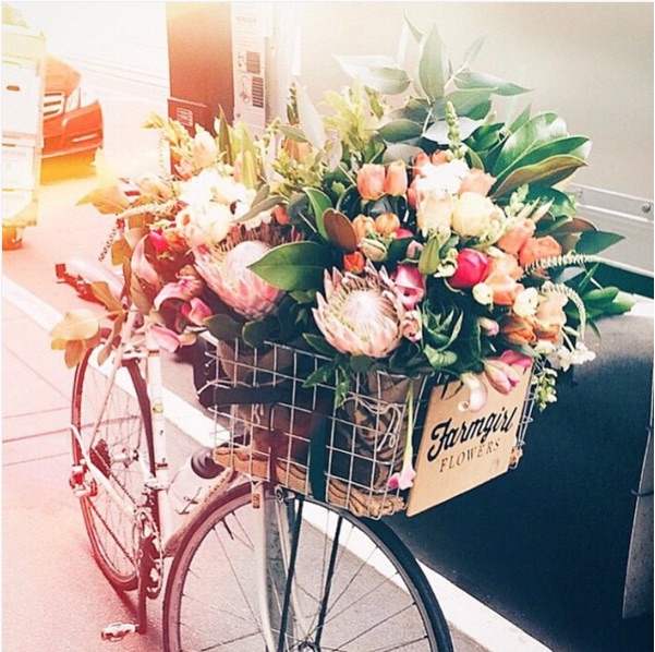 Farmgirl Flowers has a lively instagram account. Check it out to see exactly what a bicycle courier looks like with 10+ bouquets! 