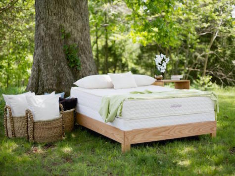 Savvy Rest offers mattresses free of toxic chemicals to contribute to comfort, rest and relief from pain. 
